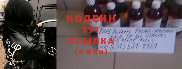 индика Абаза