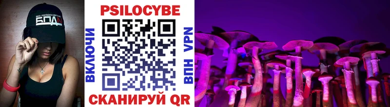 Псилоцибиновые грибы Psilocybine cubensis как найти закладки Алдан